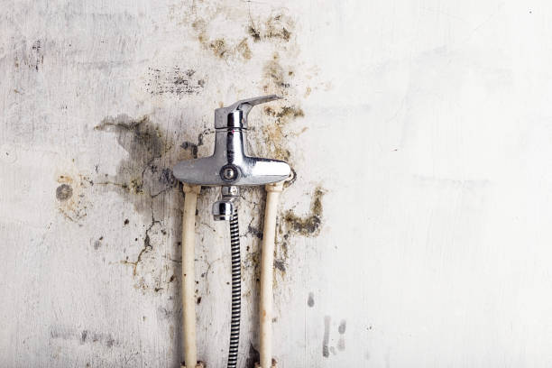 Best Localized Mold Remediation (e.g., coastal areas, humid climates) in Hurt, VA