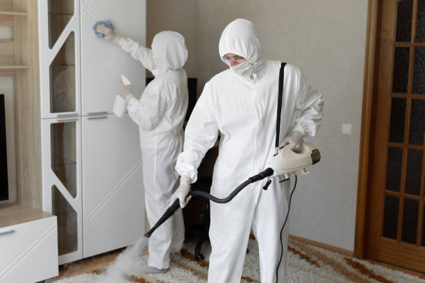 Best Residential Mold Remediation in Hurt, VA